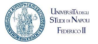 logo-unina-scritta